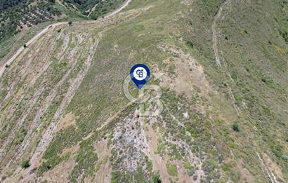 Karaburun Sarpıncık Mahallesi'nde 6.500 m² Satılık Tarla