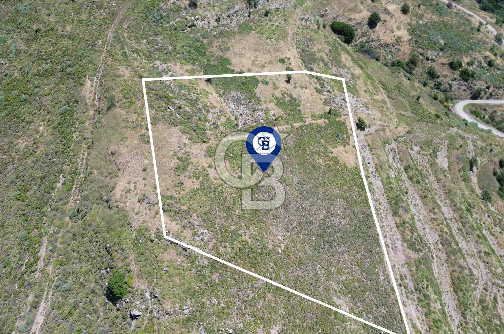 Karaburun Sarpıncık Mahallesi'nde 6.500 m² Satılık Tarla
