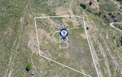 Karaburun Sarpıncık Mahallesi'nde 6.500 m² Satılık Tarla