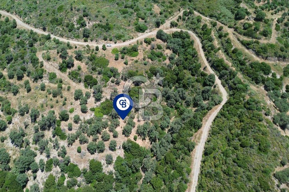 Sarpıncık'ta Deniz Manzaralı 7312 m² Yatırımlık Arazi