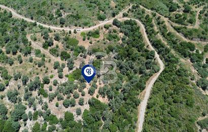 Sarpıncık'ta Deniz Manzaralı 7312 m² Yatırımlık Arazi