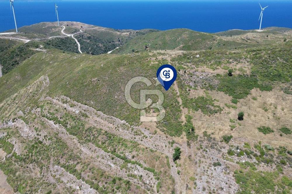 Karaburun Sarpıncık Mahallesi'nde 6.500 m² Satılık Tarla