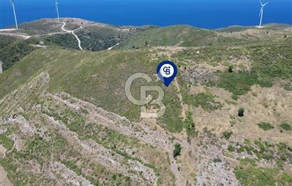 Karaburun Sarpıncık Mahallesi'nde 6.500 m² Satılık Tarla