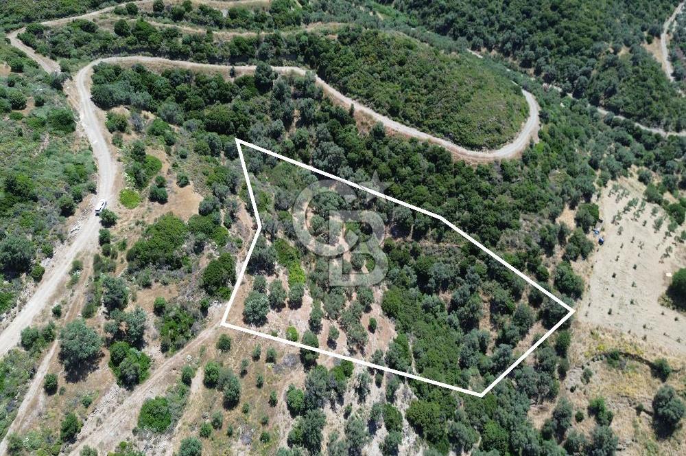 Sarpıncık'ta Deniz Manzaralı 7312 m² Yatırımlık Arazi