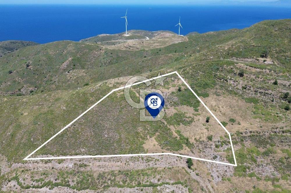 Karaburun Sarpıncık Mahallesi'nde 6.500 m² Satılık Tarla