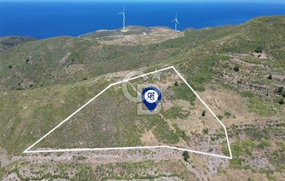 Karaburun Sarpıncık Mahallesi'nde 6.500 m² Satılık Tarla