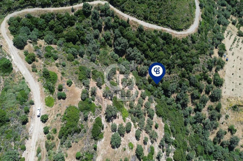 Sarpıncık'ta Deniz Manzaralı 7312 m² Yatırımlık Arazi