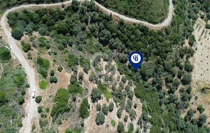 Sarpıncık'ta Deniz Manzaralı 7312 m² Yatırımlık Arazi