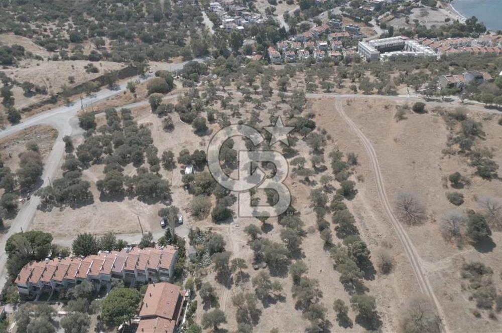 YENİ FOÇA MARİNA YAKINI, GELECEĞE YATIRIMLIK ARSA HİSSESİ