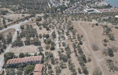 YENİ FOÇA MARİNA YAKINI, GELECEĞE YATIRIMLIK ARSA HİSSESİ