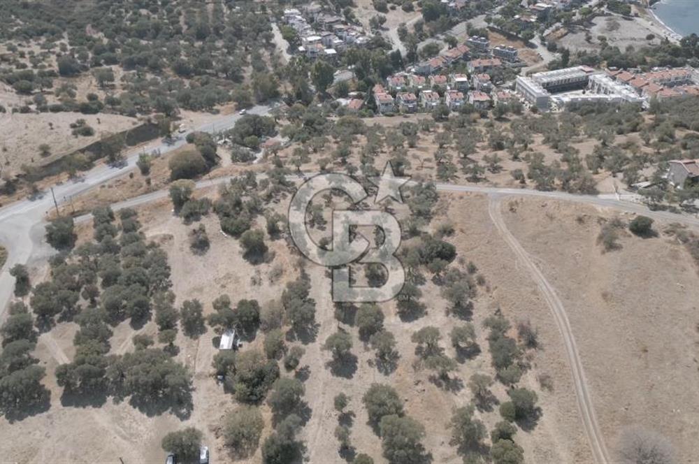 YENİ FOÇA MARİNA YAKINI, GELECEĞE YATIRIMLIK ARSA HİSSESİ