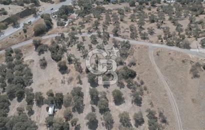 YENİ FOÇA MARİNA YAKINI, GELECEĞE YATIRIMLIK ARSA HİSSESİ