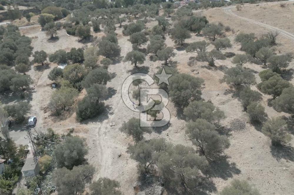 YENİ FOÇA MARİNA YAKINI, GELECEĞE YATIRIMLIK ARSA HİSSESİ