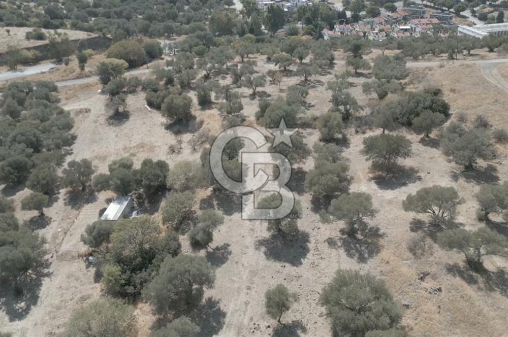 YENİ FOÇA MARİNA YAKINI, GELECEĞE YATIRIMLIK ARSA HİSSESİ