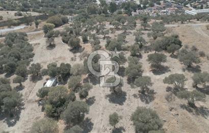 YENİ FOÇA MARİNA YAKINI, GELECEĞE YATIRIMLIK ARSA HİSSESİ