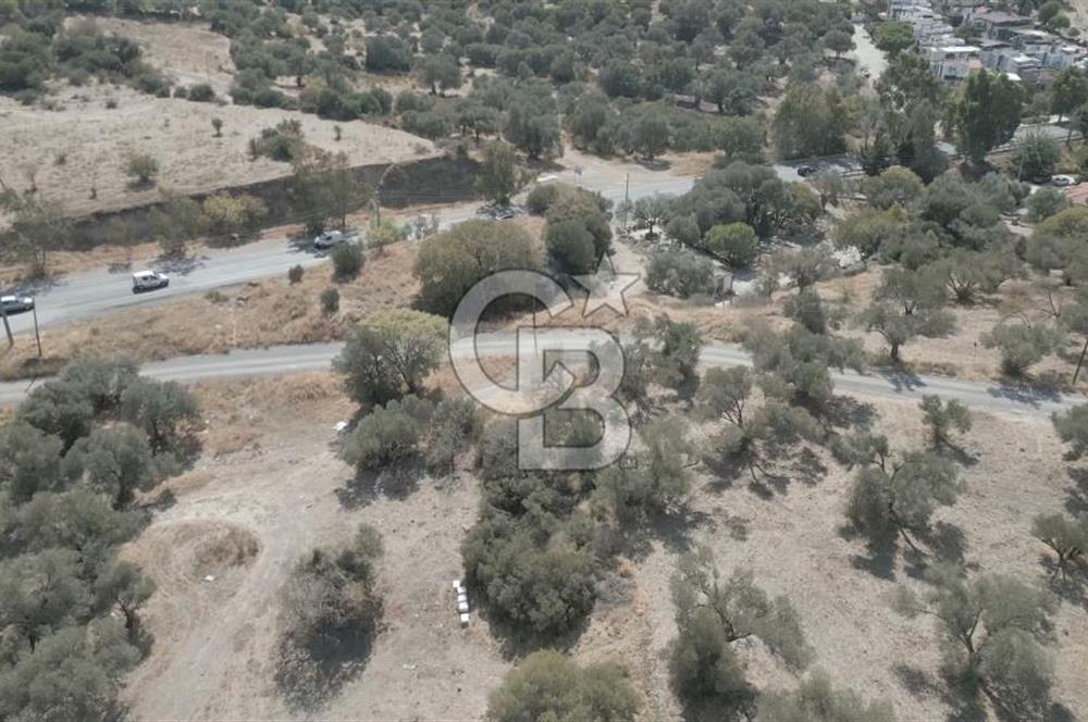 YENİ FOÇA MARİNA YAKINI, GELECEĞE YATIRIMLIK ARSA HİSSESİ