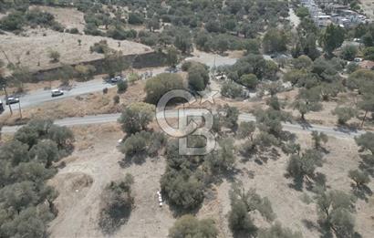 YENİ FOÇA MARİNA YAKINI, GELECEĞE YATIRIMLIK ARSA HİSSESİ
