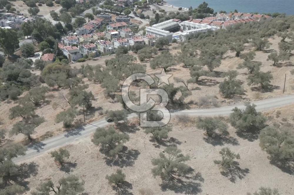YENİ FOÇA MARİNA YAKINI, GELECEĞE YATIRIMLIK ARSA HİSSESİ