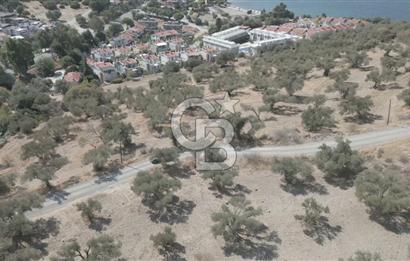 YENİ FOÇA MARİNA YAKINI, GELECEĞE YATIRIMLIK ARSA HİSSESİ
