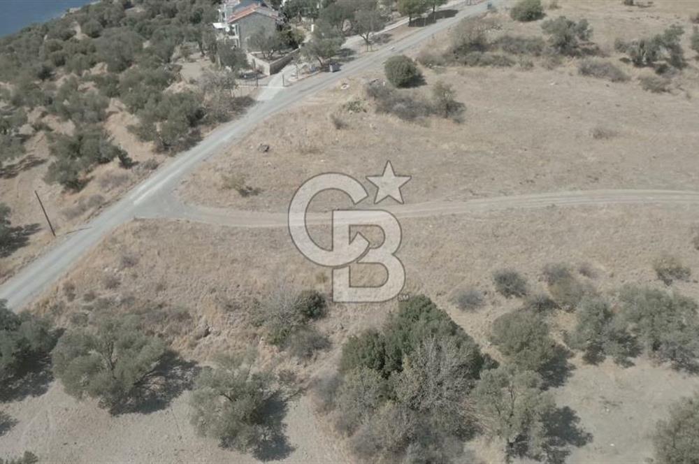 YENİ FOÇA MARİNA YAKINI, GELECEĞE YATIRIMLIK ARSA HİSSESİ