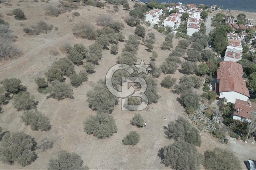 YENİ FOÇA MARİNA YAKINI, GELECEĞE YATIRIMLIK ARSA HİSSESİ