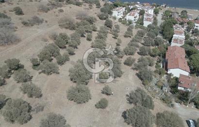 YENİ FOÇA MARİNA YAKINI, GELECEĞE YATIRIMLIK ARSA HİSSESİ