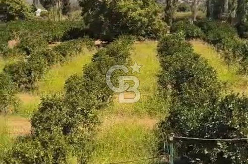 Seferihisar Orhanlıda İmara Yakın 3500 m2 Arsa