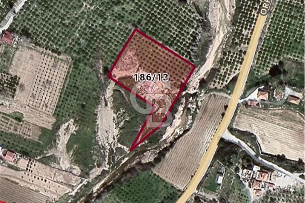 Seferihisar Orhanlıda İmara Yakın 3500 m2 Arsa