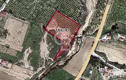 Seferihisar Orhanlıda İmara Yakın 3500 m2 Arsa