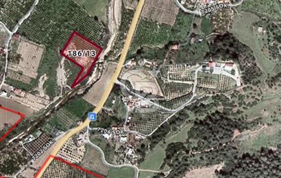 Seferihisar Orhanlıda İmara Yakın 3500 m2 Arsa