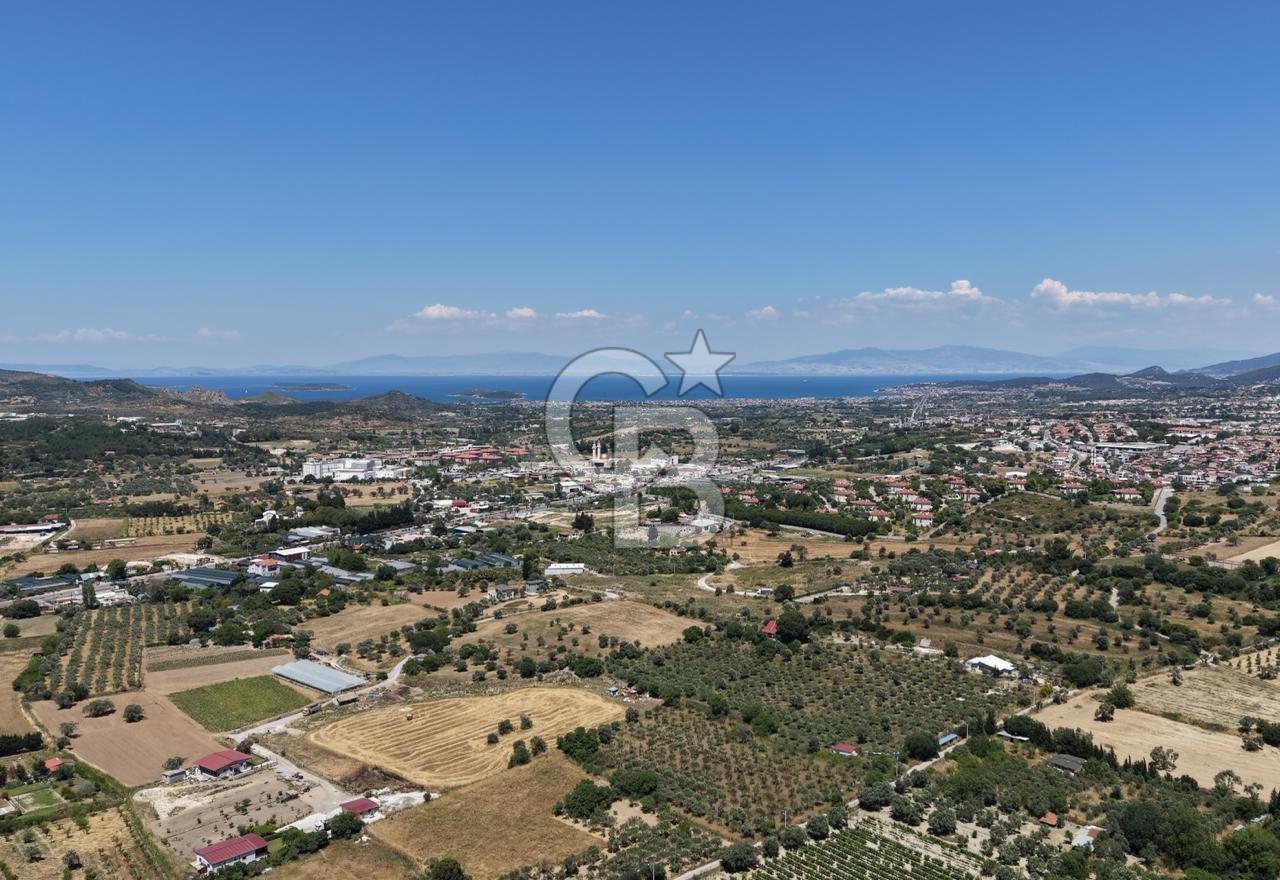 Urla Altıntaş'da Yola Cepheli, Elektrik/Suyu Hazır Satılık Tarla