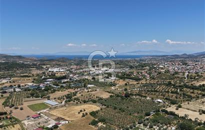 Urla Altıntaş'da Yola Cepheli, Elektrik/Suyu Hazır Satılık Tarla