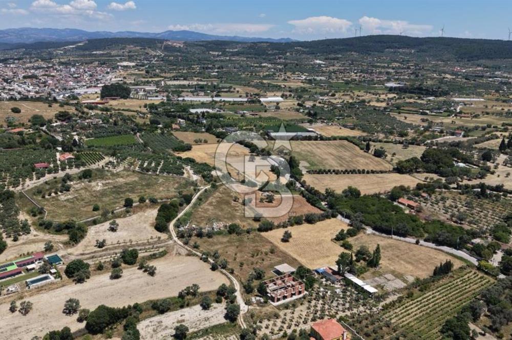Urla Altıntaş'da Yola Cepheli, Elektrik/Suyu Hazır Satılık Tarla