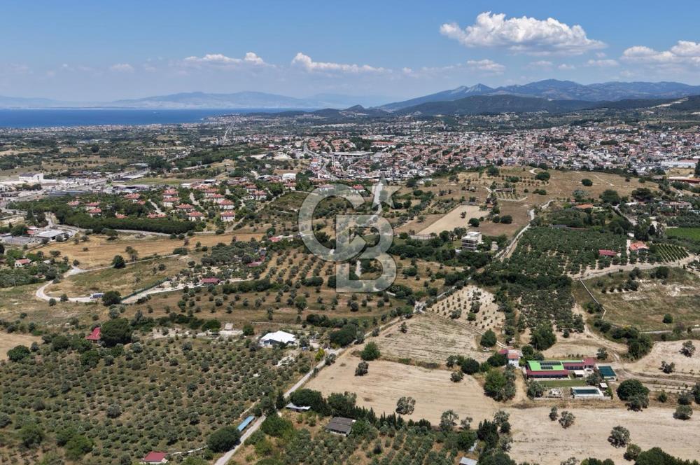 Urla Altıntaş'da Yola Cepheli, Elektrik/Suyu Hazır Satılık Tarla
