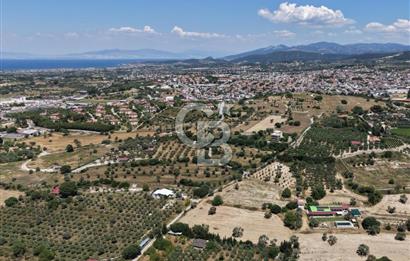 Urla Altıntaş'da Yola Cepheli, Elektrik/Suyu Hazır Satılık Tarla