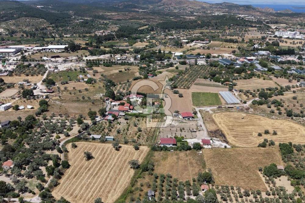 Urla Altıntaş'da Yola Cepheli, Elektrik/Suyu Hazır Satılık Tarla