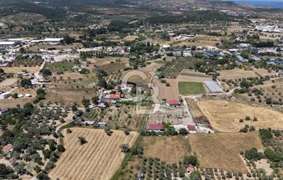 Urla Altıntaş'da Yola Cepheli, Elektrik/Suyu Hazır Satılık Tarla