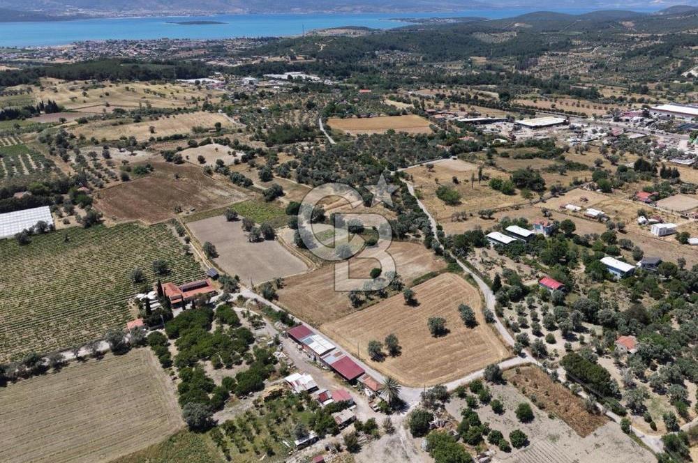 Urla Altıntaş'da Yola Cepheli, Elektrik/Suyu Hazır Satılık Tarla
