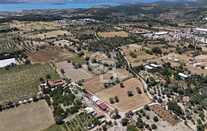 Urla Altıntaş'da Yola Cepheli, Elektrik/Suyu Hazır Satılık Tarla