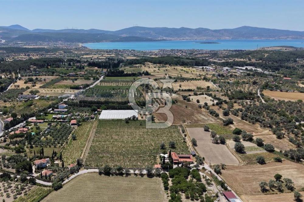 Urla Altıntaş'da Yola Cepheli, Elektrik/Suyu Hazır Satılık Tarla