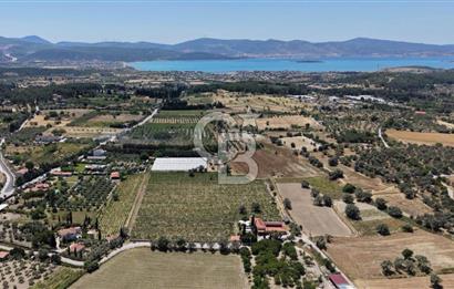 Urla Altıntaş'da Yola Cepheli, Elektrik/Suyu Hazır Satılık Tarla