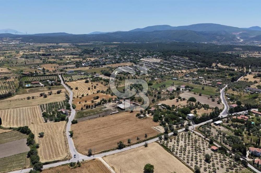 Urla Altıntaş'da Yola Cepheli, Elektrik/Suyu Hazır Satılık Tarla