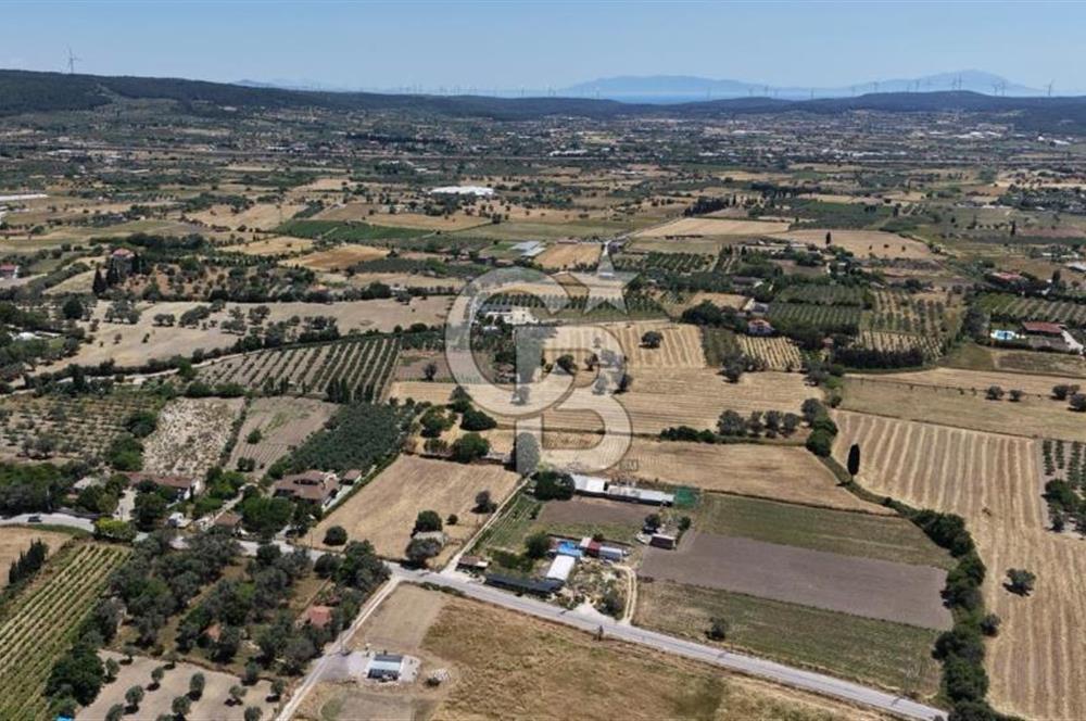 Urla Altıntaş'da Yola Cepheli, Elektrik/Suyu Hazır Satılık Tarla