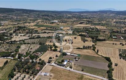 Urla Altıntaş'da Yola Cepheli, Elektrik/Suyu Hazır Satılık Tarla