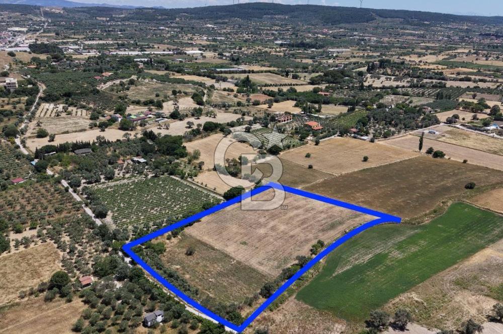 Urla Altıntaş'da Yola Cepheli, Elektrik/Suyu Hazır Satılık Tarla