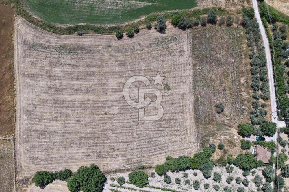 Urla Altıntaş'da Yola Cepheli, Elektrik/Suyu Hazır Satılık Tarla