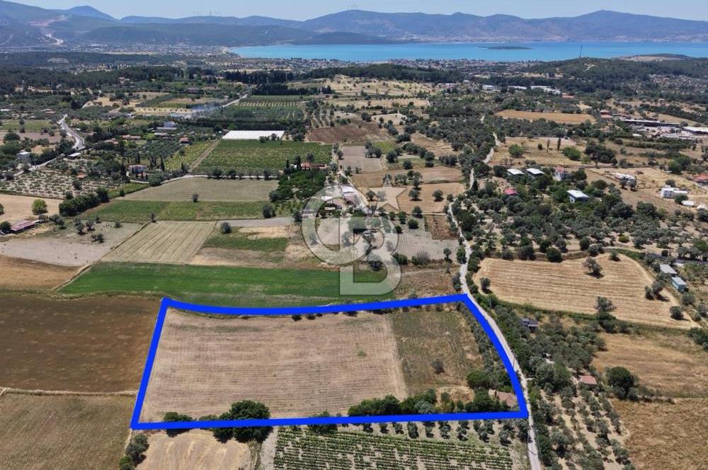 Urla Altıntaş'da Yola Cepheli, Elektrik/Suyu Hazır Satılık Tarla