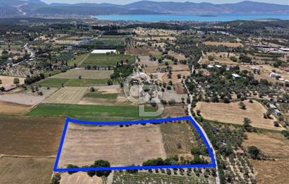 Urla Altıntaş'da Yola Cepheli, Elektrik/Suyu Hazır Satılık Tarla
