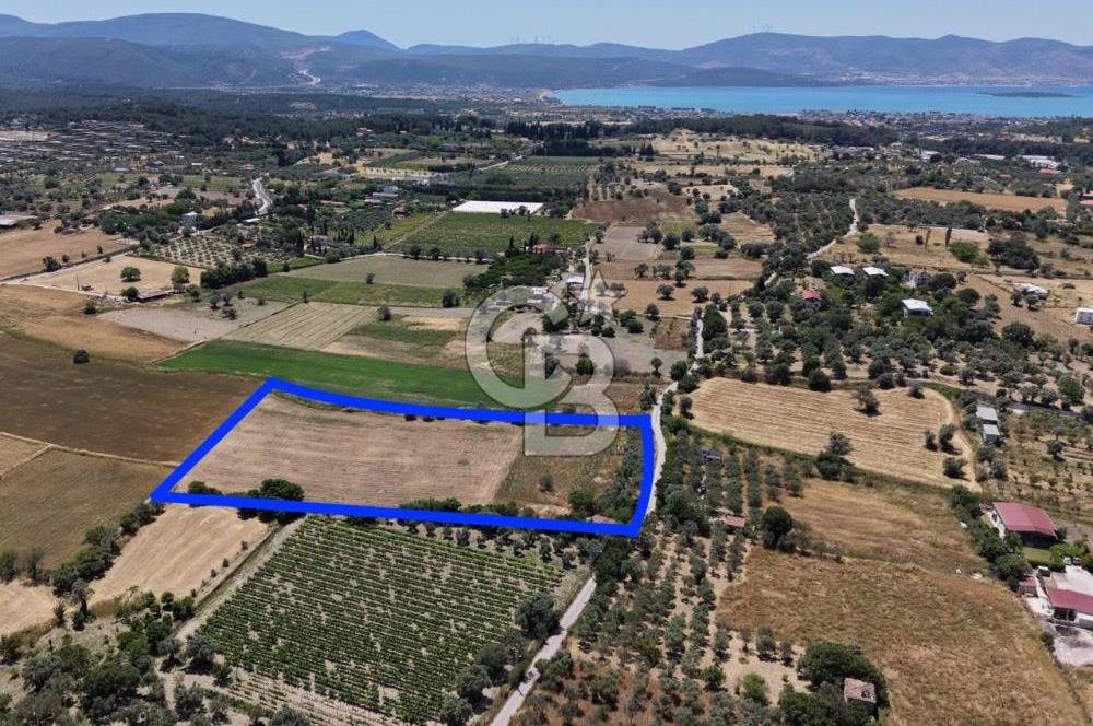 Urla Altıntaş'da Yola Cepheli, Elektrik/Suyu Hazır Satılık Tarla