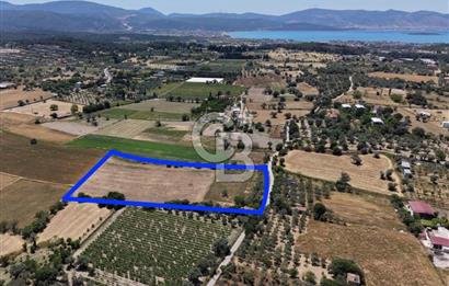 Urla Altıntaş'da Yola Cepheli, Elektrik/Suyu Hazır Satılık Tarla